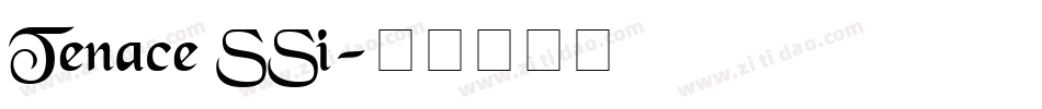 Tenace SSi字体转换